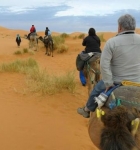 camellos-erg-chebbi